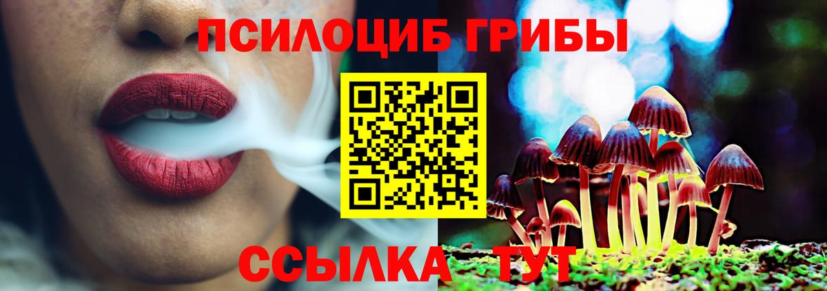 Галлюциногенные грибы мицелий Владимир